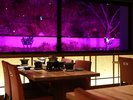 �yThe Dining