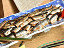 ビュッフェ大皿料理