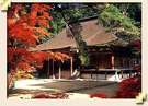 【湖東三山：西明寺】天台宗のお寺で、国宝の本堂（瑠璃殿）と三重塔は鎌倉時代初期の匠が建立したもの。