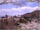 【清水寺】『清水の舞台』からは、東山を一望できます。京都に来たら必ず訪れておきたいスポットの一つ。
