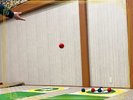 ジュラク遊技場 ボッチャ