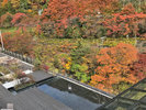 紅葉のみずのテラスの眺め