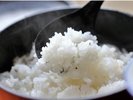 島根県産コシヒカリ