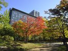 秋:紅葉に囲まれたパークホテル