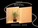 モデレートタイプご案内