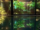 【大浴場】光と影が映す湯面、京都の美意識を極める贅沢