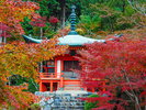水面に映る紅葉と弁天堂、醍醐寺で出会う秋の極み