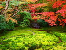 瑠璃光院
