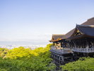 清水寺 清水の舞台
