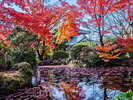清水寺の秋