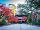 南禅寺の秋