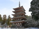 世界遺産醍醐寺の国宝五重塔