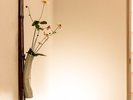 垂発 一輪の花が映す、室内と屋外のはざまの美
