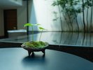 【中庭】季節の移ろいを映す、静かな光の庭で心をほどく時間