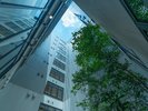 【中庭】季節の移ろいを映す、静かな光の庭で心をほどく時間