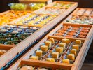 【朝食】京の旬を一度に、彩り豊かな小鉢で愉しむ贅沢