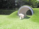 DOG PARKで愛犬ものびのび遊べる♪