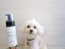 【愛犬専用アメニティー】セルフシャンプールームには愛犬用シャンプーをご用意いたします♪