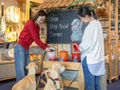【フリードッグフード】愛犬もうれしい!ドッグフード食べ放題