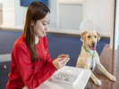 【キーホルダー作成体験】愛犬の写真入りオリジナルキーホルダーを作成できます!