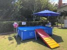7月〜9月期間限定!愛犬専用プールがオープン
