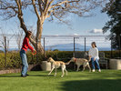 【DOG PARK】相模灘を望む開放感あふれる愛犬専用ドッグラン