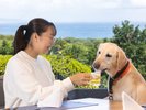 愛犬用ドリンク。愛犬と一緒の乾杯をお楽しみください