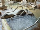 【左の湯】寝湯(ねゆ)