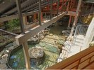 【左の湯】歩行湯