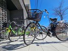電動アシスト付自転車