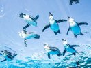�y���ق���k����20���z�T���V���C��������:�s���ő勉�̐�����