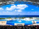 【国営沖縄記念公園(海洋博公園):沖縄美ら海水族館】ホテルから車で約1時間半〜2時間