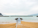 *【周辺】当館の目の前にある「人魚の浜海水浴場(白鳥海水浴場)」