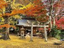 赤田神社 写真提供:山口観光コンベンション協会