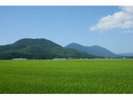 国上山・弥彦山は軽い登山に最適です