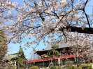 上野恩賜公園