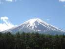 ホテルから眺めることができる富士山