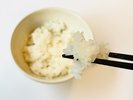料理長が惚れたお米。佐賀県米「夢しずく」