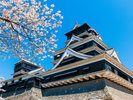 【景色】春の熊本城は桜の名所としても有名です。開花時期に合わせてお城まつりも開催されます。