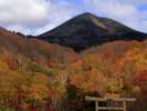 八甲田山の紅葉(写真提供:青森県観光情報サイト)