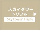 スカイタワートリプル(禁煙)最上階18階フロアの2部屋のみ!