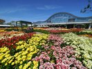 【フローランテ宮崎】四季折々の花々やイベントを楽しむことができる市民の憩いの場所。