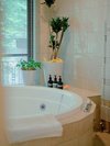 705 Junior Suite