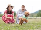 宿泊者専用ドッグラン。嬉しそうに駆け回るワンちゃんに癒されること間違いなし!