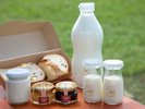 朝食一例。オリジナルの牛乳プリンに風曜日のジャム、しぼりたて牛乳…ここならではのメニューが満載です。