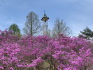 根の上高原<春>■当館から車で30分