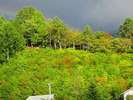 紅葉のはじまり
