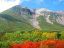 乗鞍岳の紅葉