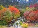 冷泉小屋前の紅葉