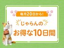お得な10日間プラン